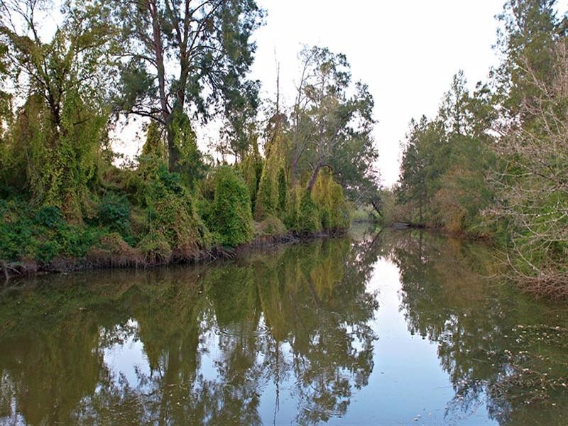 3 Threlkeld Drive, Cattai NSW 2756