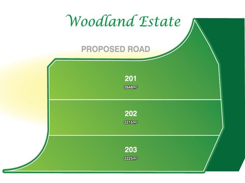 Lot 202, 12b Curtis Road, Kellyville NSW 2155