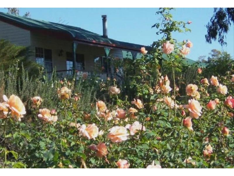 90 Nicholson Road, Stanthorpe QLD 4380