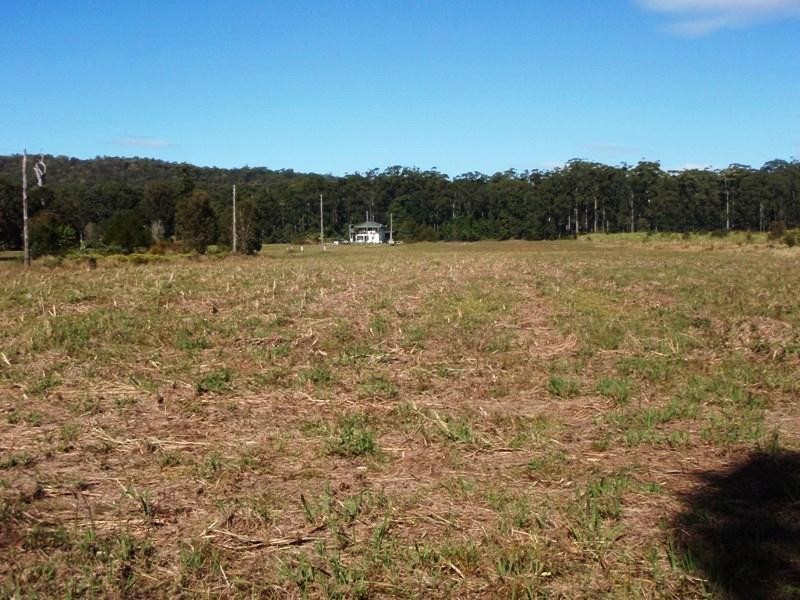 341 Sippy Creek Road, Ilkley QLD 4554