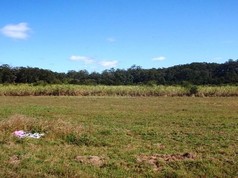 341 Sippy Creek Road, Ilkley QLD 4554