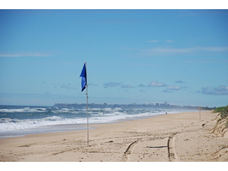 40 Lowanna Street, Buddina QLD 4575