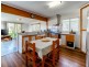 55 Apollo Road, Bulimba QLD 4171