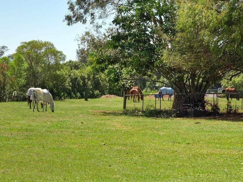 96 Beelarong Street, Morningside QLD 4170