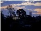 141 Britannia Avenue, Morningside QLD 4170