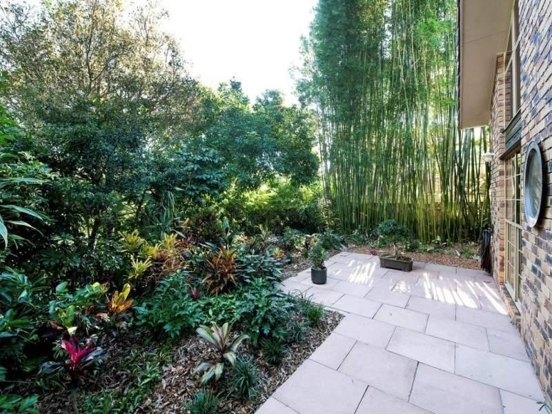 33 Kuranda Street, Balmoral QLD 4171