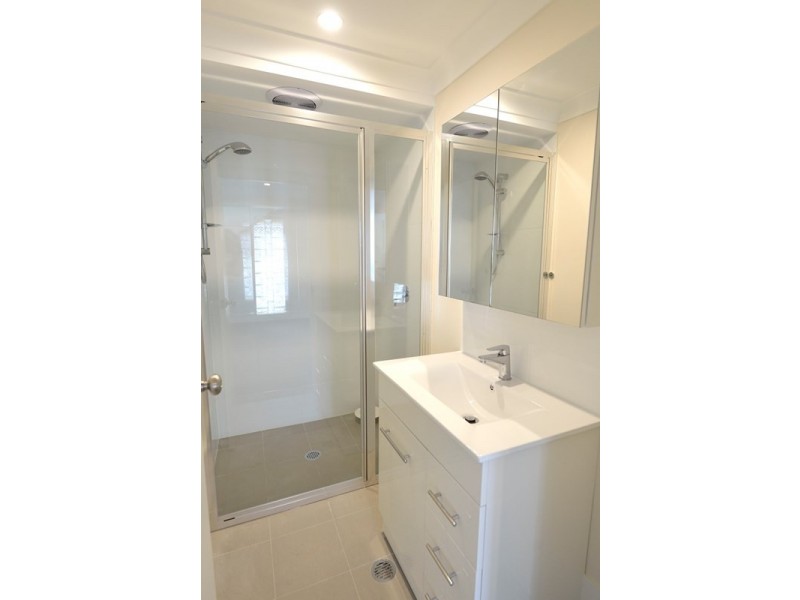 51 Collings Street, Balmoral QLD 4171