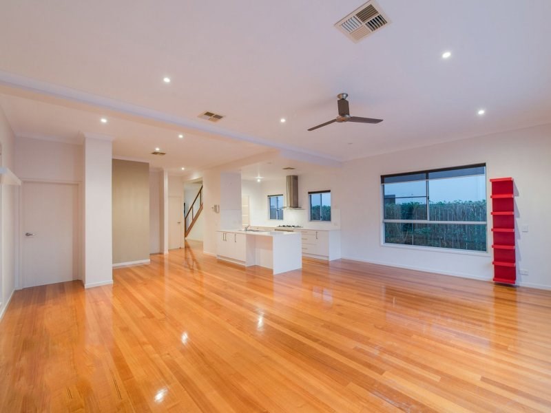 7 Bunya Street, Cannon Hill QLD 4170