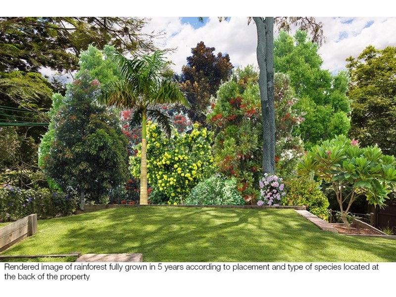 9 Cecile Street, Balmoral QLD 4171