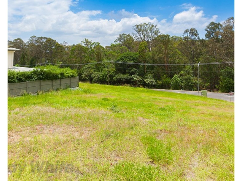 18 Mizen Place, Holland Park West QLD 4121