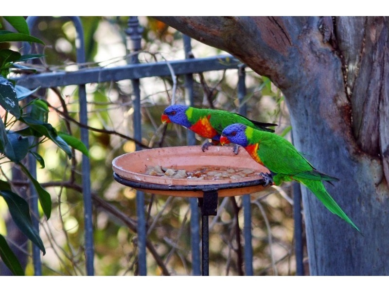 639 Darcy Road, Carina QLD 4152