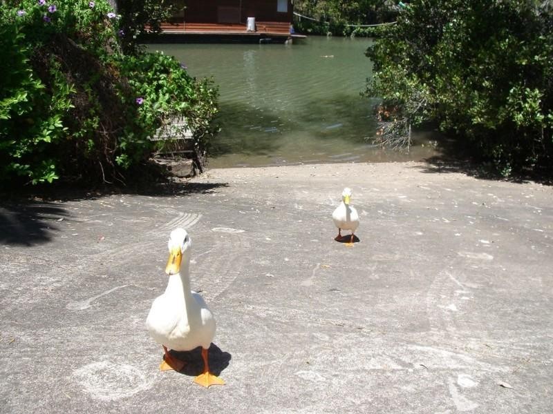 5/151 Lytton Road, East Brisbane QLD 4169