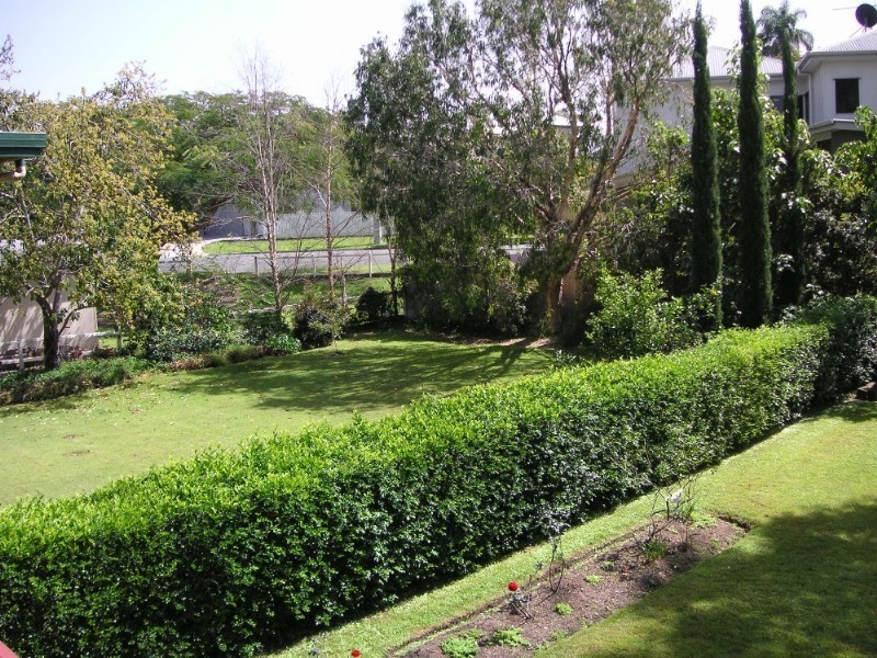 105 Barton Road, Hawthorne QLD 4171