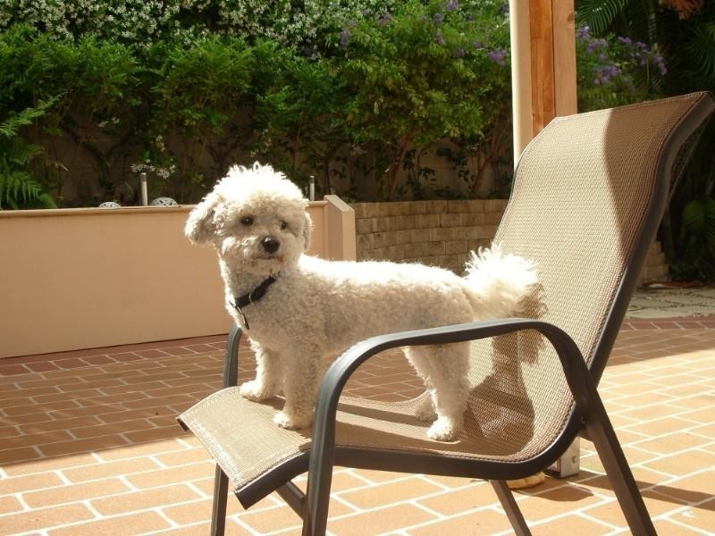 2/12 Norman Avenue, Norman Park QLD 4170