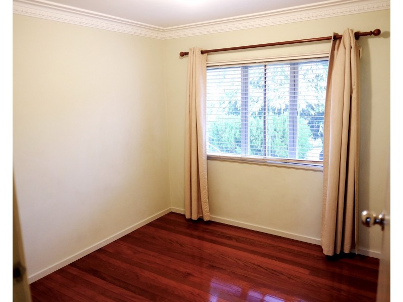 223 Lytton Road, Bulimba QLD 4171