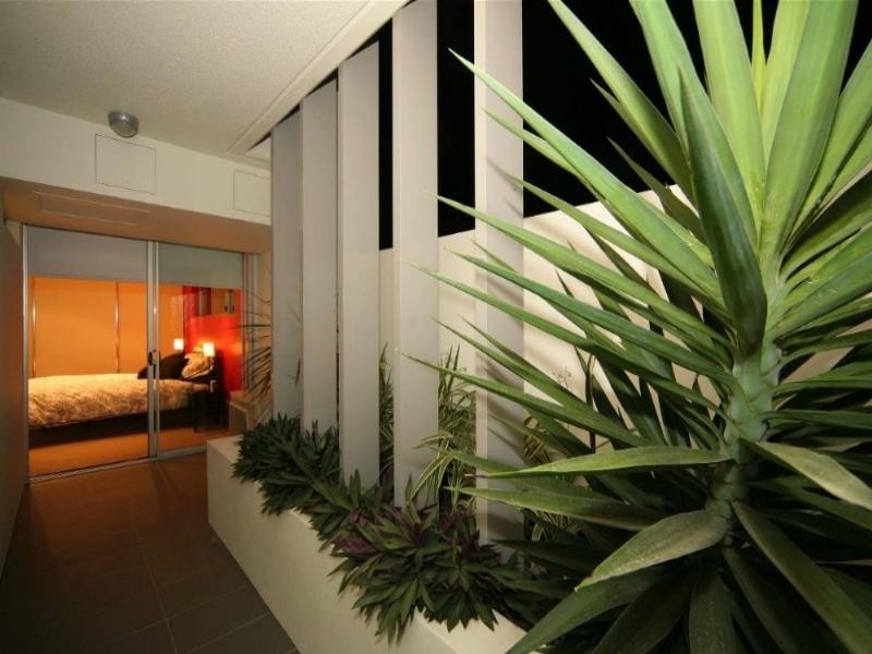 1/47 Love Street, Bulimba QLD 4171