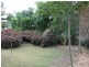 120 Macdonald Street, Norman Park QLD 4170