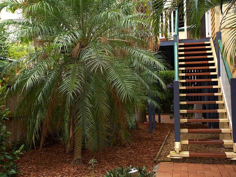 313 Riding Road, Balmoral QLD 4171