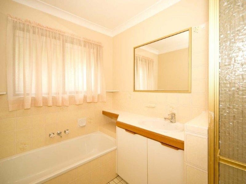 37 Amy Street, Hawthorne QLD 4171