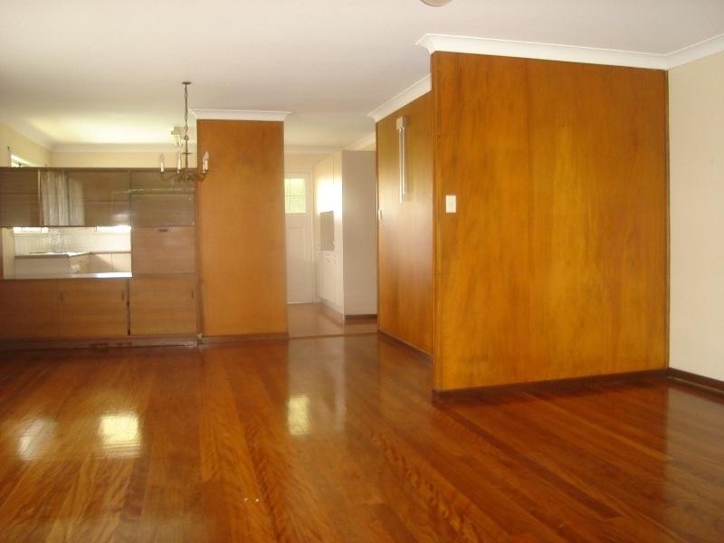 49 Virginia Avenue, Hawthorne QLD 4171