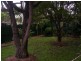 145 Boundary Street, Coorparoo QLD 4151