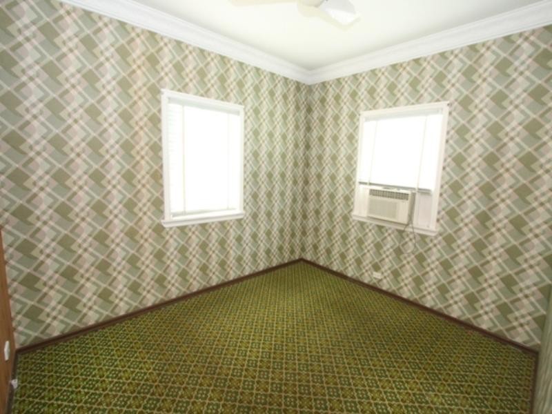 141 Dahlia Street, Cannon Hill QLD 4170