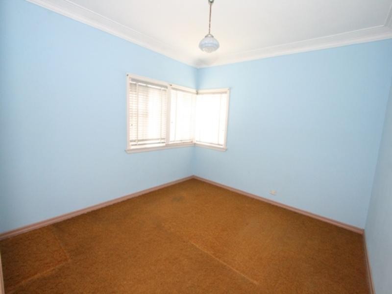 141 Dahlia Street, Cannon Hill QLD 4170