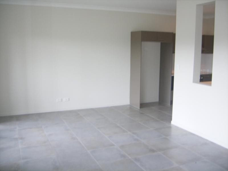 62 Grenade Street, Cannon Hill QLD 4170