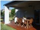 Bulimba QLD 4171