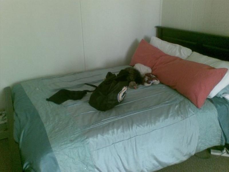 Bowen Hills QLD 4006