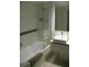 Bulimba QLD 4171