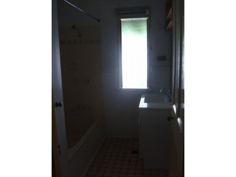 17 Eton Street, Bulimba QLD 4171