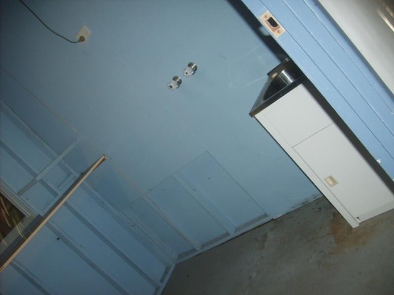 17 Eton Street, Bulimba QLD 4171