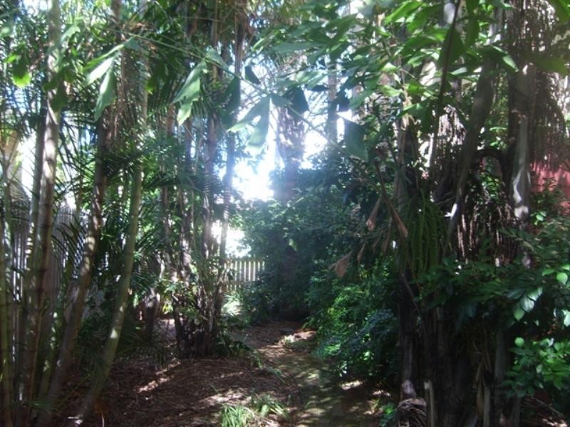 17 Eton Street, Bulimba QLD 4171