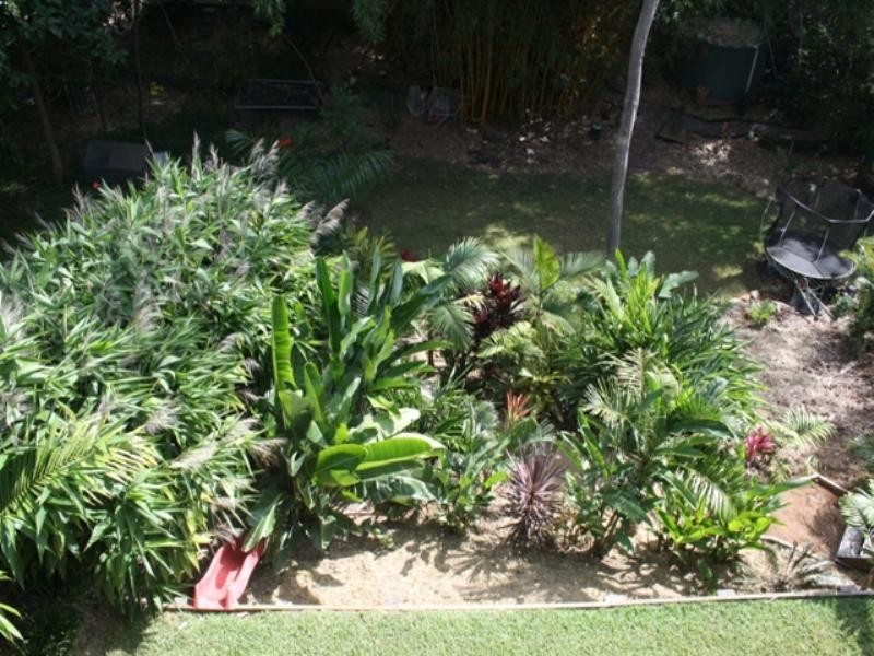 36 Olive Grove, Balmoral QLD 4171