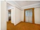 77 Dahlia Street, Cannon Hill QLD 4170