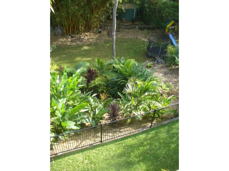 36 Olive Grove, Balmoral QLD 4171