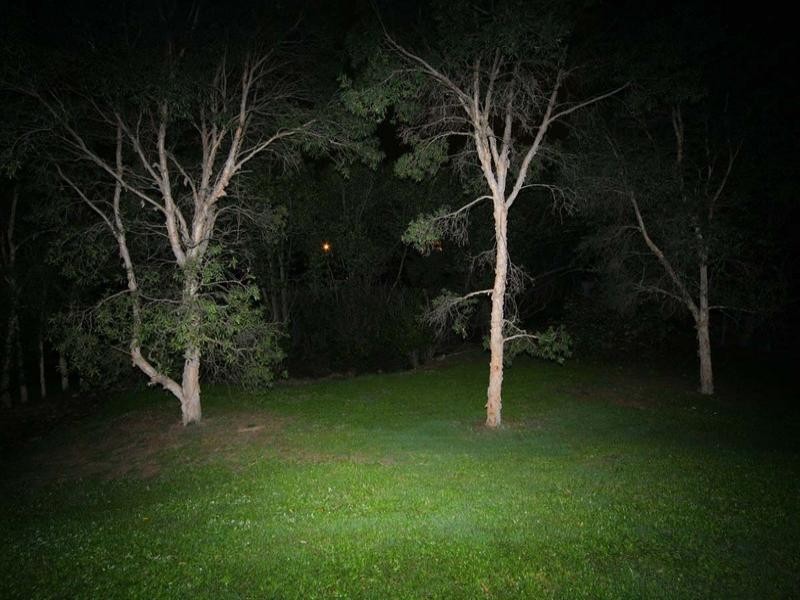 2 Walter Avenue, East Brisbane QLD 4169