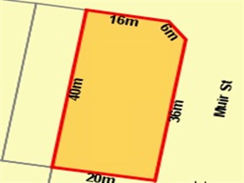 77 Dahlia Street, Cannon Hill QLD 4170