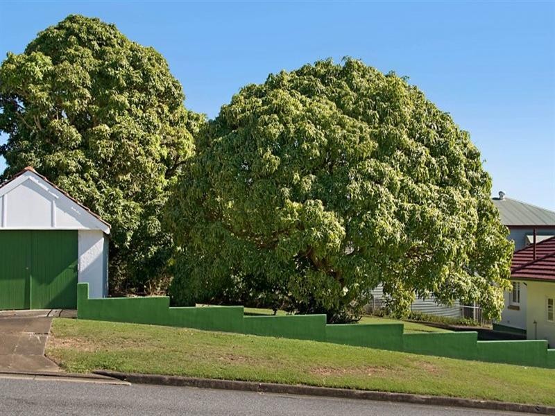 77 Dahlia Street, Cannon Hill QLD 4170