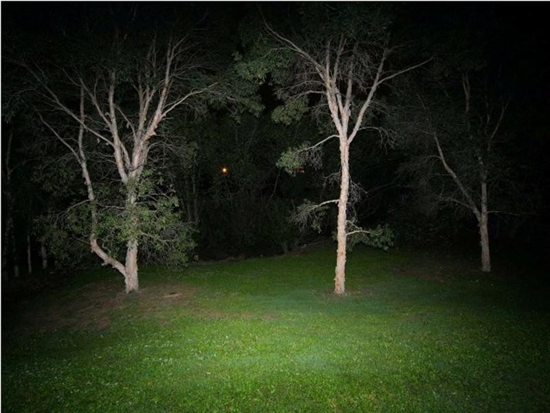 East Brisbane QLD 4169