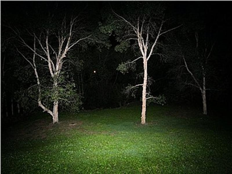 East Brisbane QLD 4169