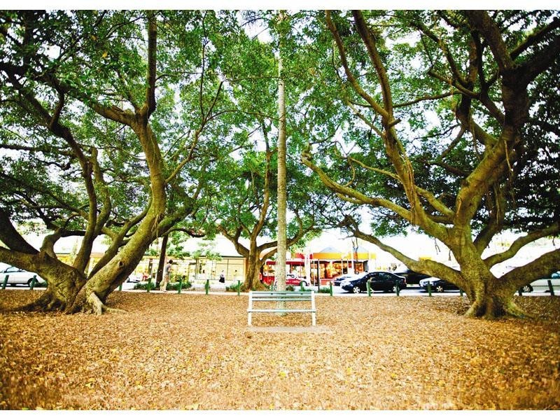 61 Oxford Street, Bulimba QLD 4171