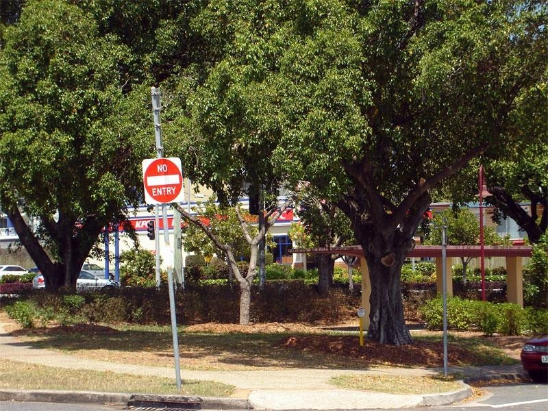 17 Wickham Street, Morningside QLD 4170