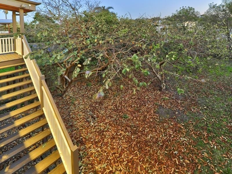 11 Karthina Street, Bulimba QLD 4171