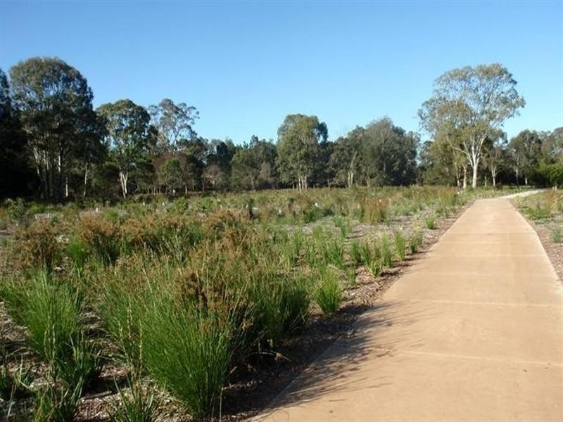 15 Nutmeg Court, Birkdale QLD 4159