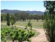 151 Curtin Road, Ballandean QLD 4382