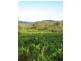 151 Curtin Road, Ballandean QLD 4382