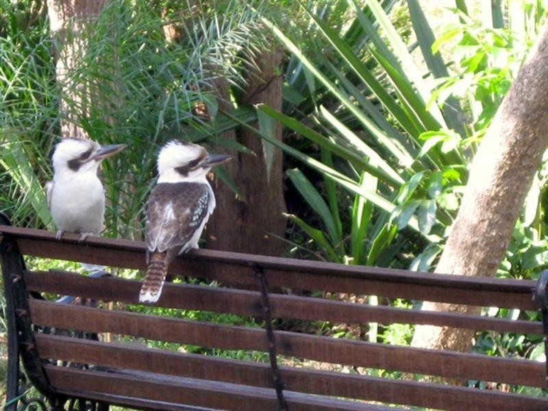 12-22 Cunard Street, Holland Park QLD 4121