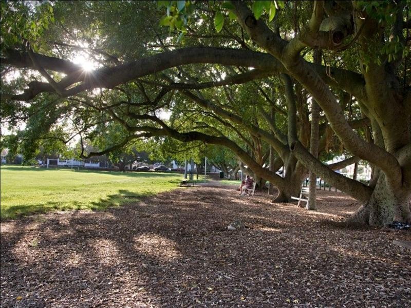 22 Wambool Street, Bulimba QLD 4171